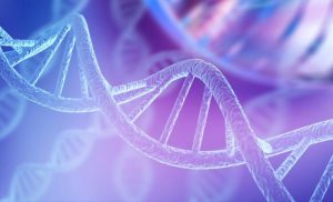 Curso de biología genética