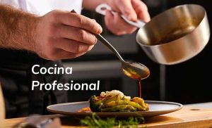 Curso de cocina profesional