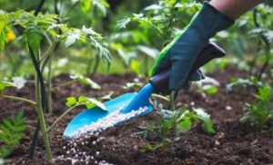 Curso de jardinería
